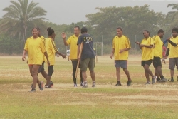 Cricket : succès au rendez-vous pour le tournoi de reprise