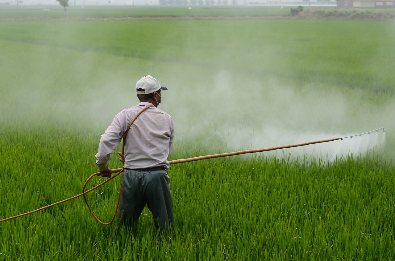 Pas d'indemnisation des parents de l'enfant décédé d'un cancer lié à son exposition aux pesticides durant la grossesse